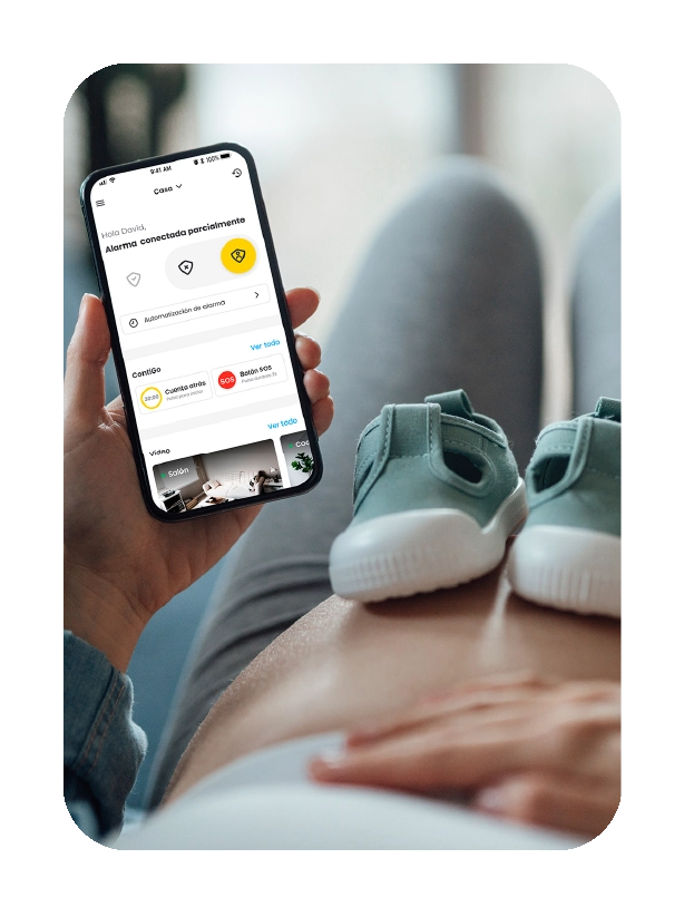 App Prosegur Smart Prosegur App Smart